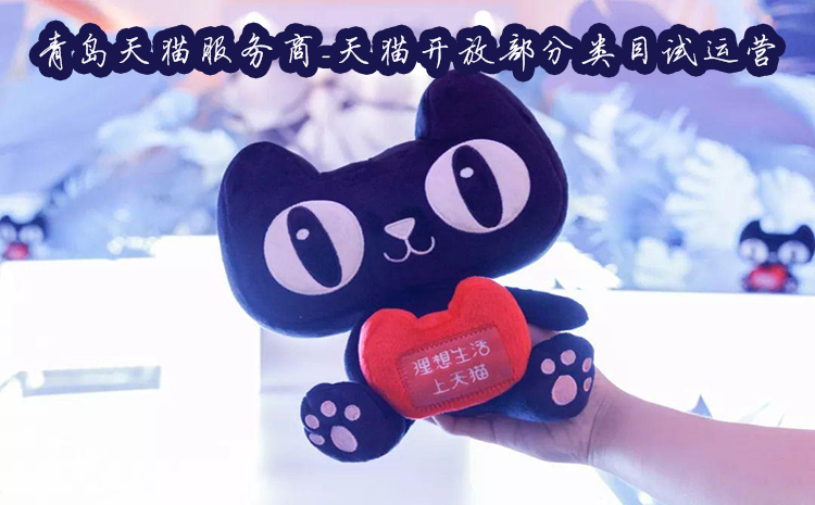 青岛,天猫,服务商,-天,猫,开放,部分,类目,试,
