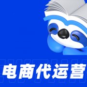 电,商代,运营,构建,私域,流量,池,实现,长期,