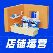 网店代,运营,数据分析,与,策略,调整,在,电商,