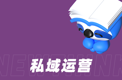 电商,创新,案例,新兴,品牌,的,成功之路,在,